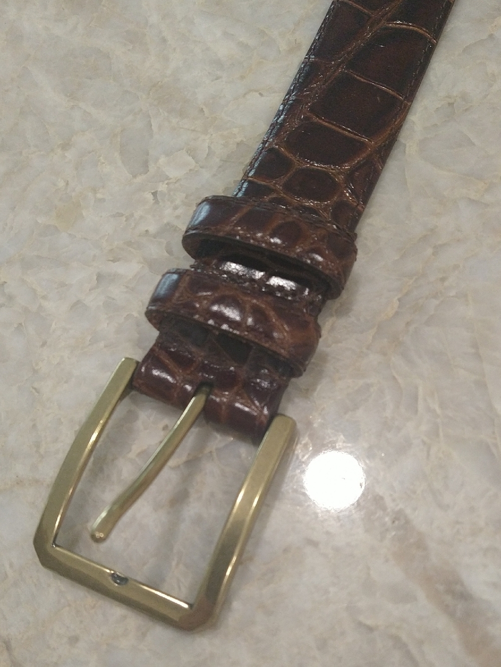 Brown Croc-Embossed Leather Belt with Gold Buckle